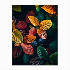 Autumn Leaves 92 Canvas Print