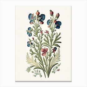 Nemesia 1 Floral Botanical Vintage Poster Flower Canvas Print