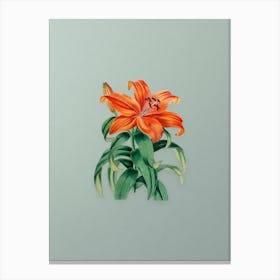 Vintage Thunberg's Orange Lily Botanical Art on Mint Green n.0215 Canvas Print