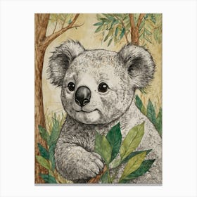 Koala Bear Canvas Print