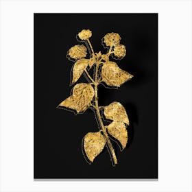 Vintage Tickberry Botanical in Gold on Black n.0097 Canvas Print