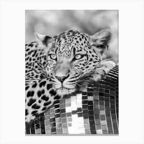 Disco Leopard Canvas Print