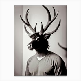 Deer Head 1 Canvas Print