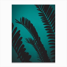 Green Shaded Palm Leaves Canvas Print