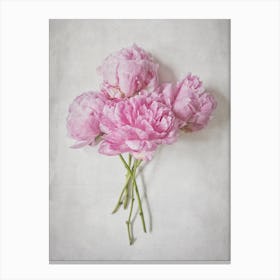 Pink Peonies Bouquet  Canvas Print