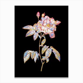 Stained Glass French Rosebush with Variegated Flowers Mosaic Botanical Illustration on Black n.0163 Canvas Print