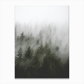 Misty Forest Pacific Northwest Canvas Print