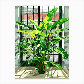 Banana Plant In Front Of Window Canvas Print