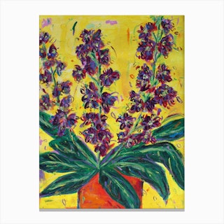 Lilac Stocks Canvas Print