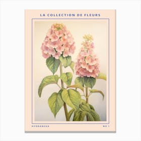 Hydrangea French Flower Botanical Poster Canvas Print