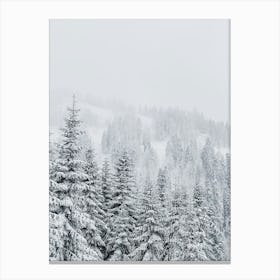 Snowy Forest In Winter Canvas Print