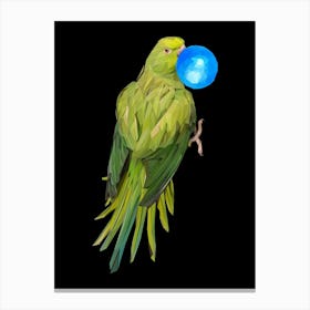 Green Parrot Canvas Print