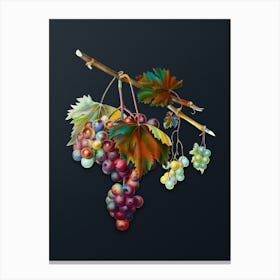 Vintage Grape from Ischia Botanical Watercolor Illustration on Dark Teal Blue Canvas Print