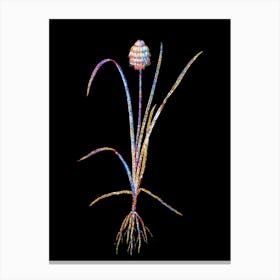 Stained Glass Veltheimia Abyssinica Mosaic Botanical Illustration on Black n.0357 Canvas Print