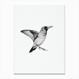 Raven B&W Pencil Drawing 1 Bird Canvas Print