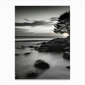 Lone Tree 28 Canvas Print