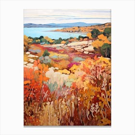 Autumn National Park Painting Arcipelago Di La Maddalena National Park 1 Canvas Print