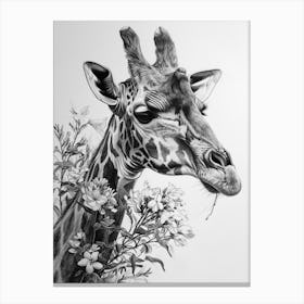 Giraffe With Their Head In The Flowers 2 Canvas Print