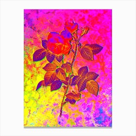 Pink Bourbon Roses Botanical in Acid Neon Pink Green and Blue Canvas Print