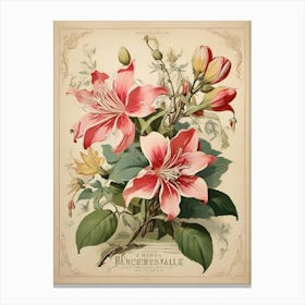 Spring Floral French Poster Honeysuckle Art Print 1 Canvas Print