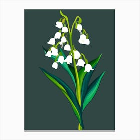 Lily Of The Valley 13 Canvas Print