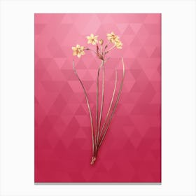 Vintage Rush Daffodil Botanical in Gold on Viva Magenta n.0613 Canvas Print