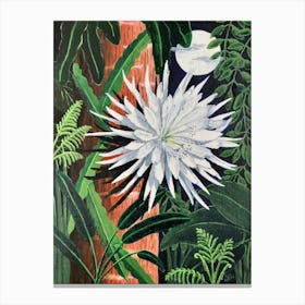 Moonflower Blooming Canvas Print