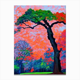 Southern Red Oak Tree Cubist Canvas Print