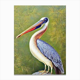 Pelican Haeckel Style Vintage Illustration Bird Canvas Print