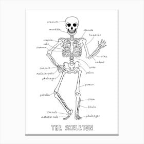 The Skeleton In White Canvas Print