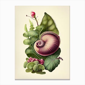 Garden Snail  1 Botanical Canvas Print