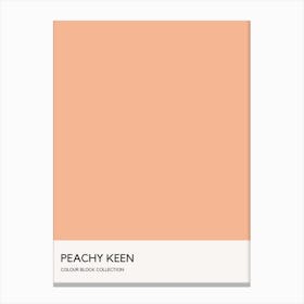 Peachy Keen Colour Block Poster Canvas Print