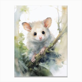 Light Watercolor Painting Of A Hidden Possum 1 Canvas Print