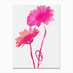 Hot Pink Gerbera Daisy 1 Canvas Print