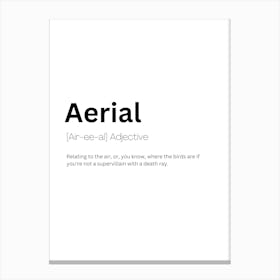 Aerial Definition Meaning Canvas Print