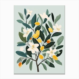 Pear Tree Flat Illustration 2 Canvas Print