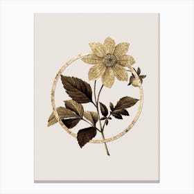 Gold Ring Dahlia Simplex Glitter Botanical Illustration n.0065 Canvas Print
