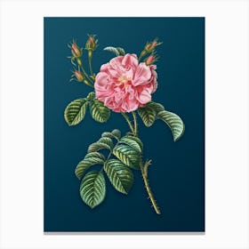 Vintage Pink Wild Rose Botanical Art on Teal Blue n.0792 Canvas Print