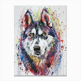 Siberian Husky Acrylic Painting 8 Canvas Print