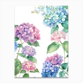 Watercolor Hydrangeas 3 Canvas Print