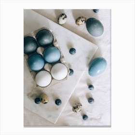 Blue And White Eggs Canvas Print