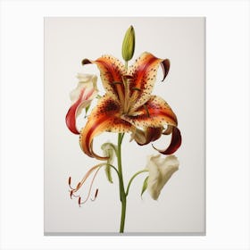 Pressed Flower Botanical Art Gloriosa Lily 3 Canvas Print