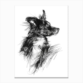 Miniature American Shepherd Dog Line Sketch 3 Canvas Print