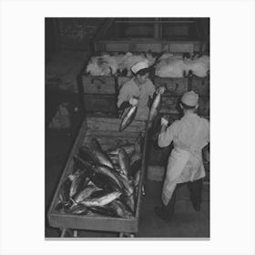 Untitled Photo, Possibly Related To Tuna Being Packed In Ice, Astoria, Oregon By Russell Lee Canvas Print