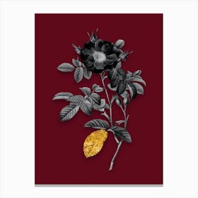 Vintage Red Portland Rose Black and White Gold Leaf Floral Art on Burgundy Red n.0608 Canvas Print