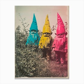 Retro Photo Of Gnomes In The Garden 1 Canvas Print