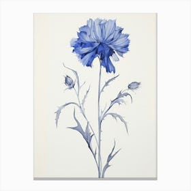 Blue Botanical Cornflower 3 Canvas Print