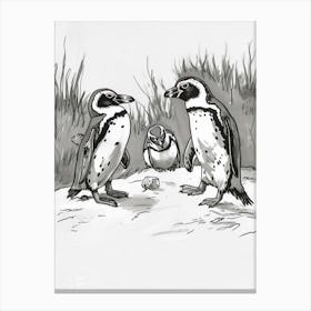 African Penguin Squabbling Over Territory 1 Canvas Print