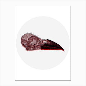 Crow Skull Red Canvas Print