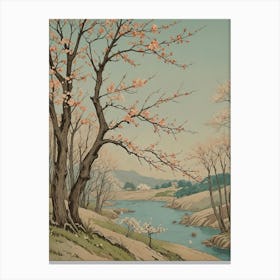 Cherry Blossoms no1 Canvas Print